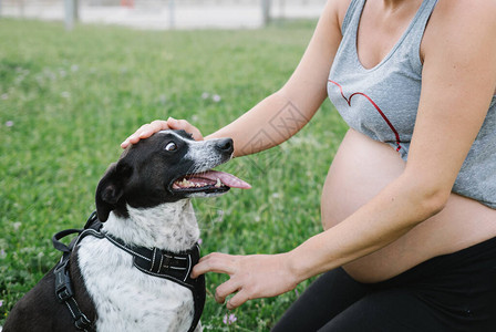 一个怀孕的女孩抚摸着怀孕的肚子图片