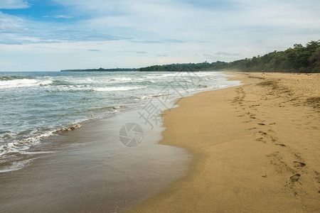 在哥斯达黎加的维约德塔拉曼卡港以南一个完全空的金沙滩背景图片