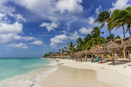Druif加勒比海阿鲁巴岛的D图片