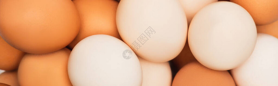五颜六色的新鲜鸡蛋的顶视图全景拍摄背景图片
