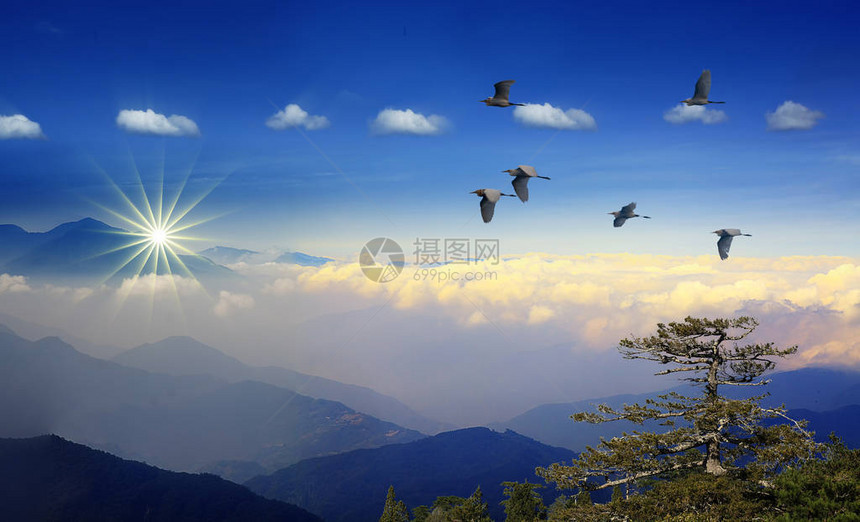 山上的福吉清晨与飞鸟一起图片