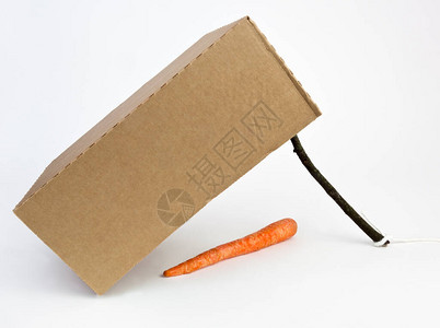 胡萝卜盒子和棍背景图片