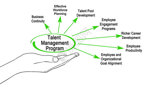 人才管理计划的组成部分高清图片