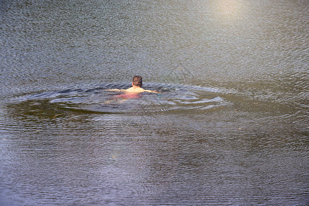男人在平静的淡水湖中游泳游泳时背景图片