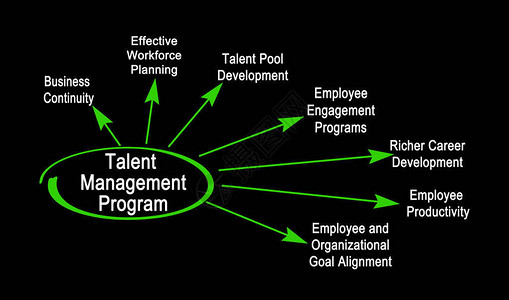 人才管理计划的组成部分图片
