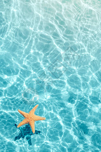 夏天海滩上的海星在海水中夏季背图片