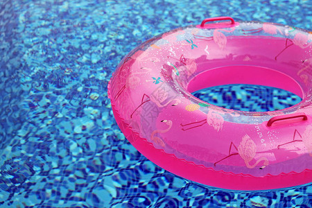 池子里的粉红色橡皮圈特图片