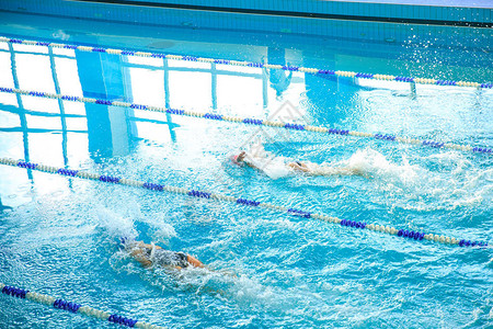 游泳者在泳池中相互竞争速度图片