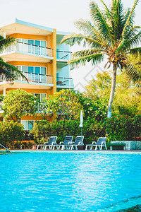 酒店度假村游泳池周围的椅子池假图片