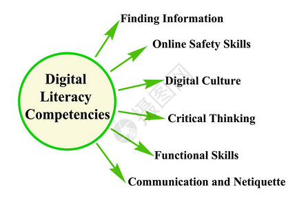 数字素养的六种能力图片