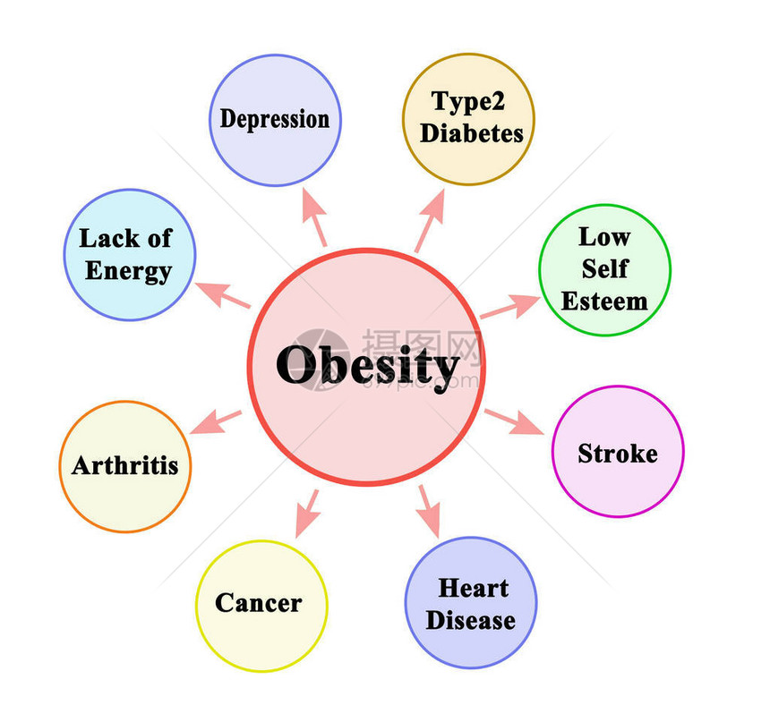 肥胖的八个后果图片