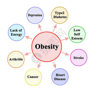 肥胖的八个后果高清图片