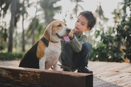 小孩和狗在公园的生活方式小男孩和宠物是最好的朋友暑假户图片