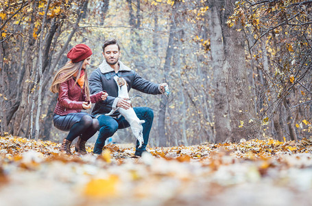 女人和男人抚摸狗在多姿彩的秋天走着它在大自图片