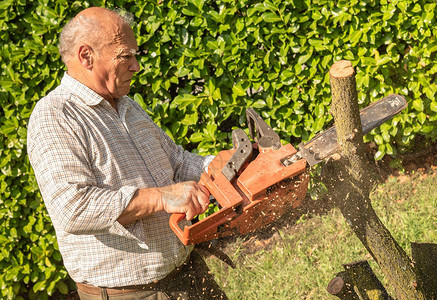老人在花园里用电锯砍树图片