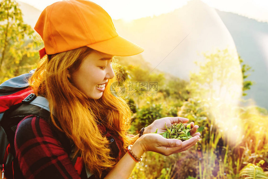 亚洲女旅行自然旅游放松在森林的草原图片