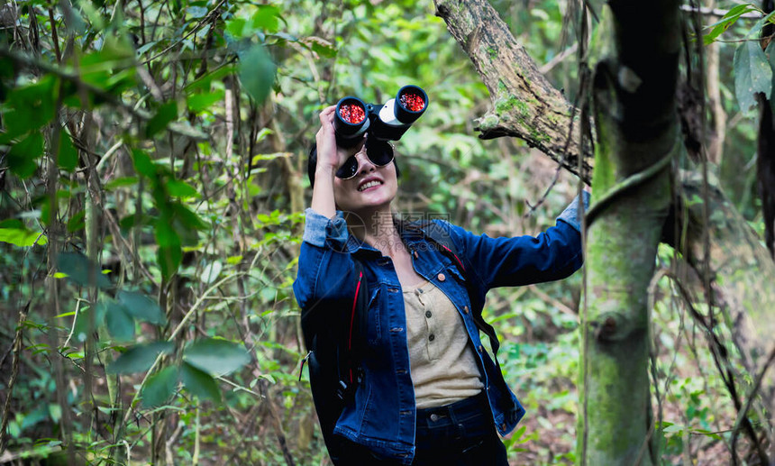 在有自然背景的森林里观鸟游客拿着双筒望远镜暑假的户图片