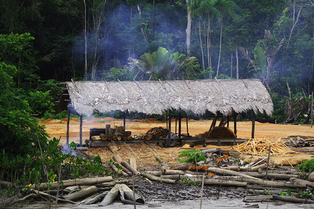 这个小屋是在亚马逊河边缘发现的图片