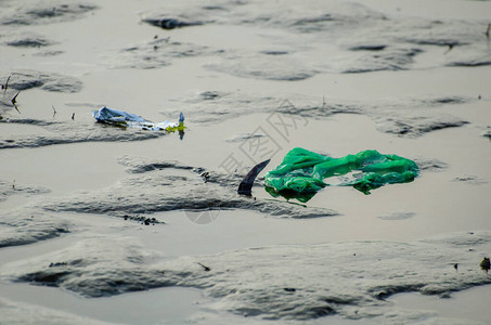 沿海的塑料垃圾图片