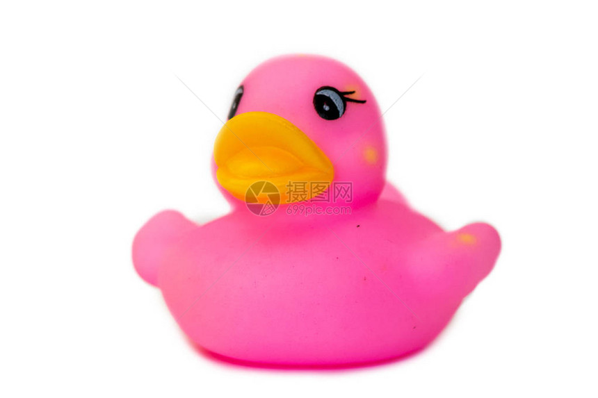白上隔离的橡胶浴鸭粉红色橡皮图片