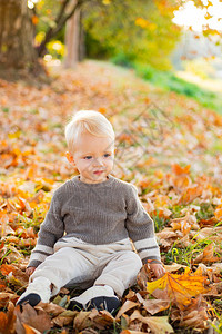 秋天的宝小孩坐在树叶上看着直看图片