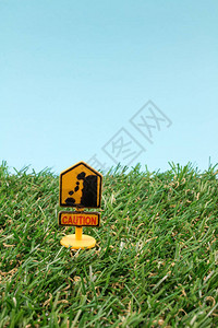绿色草地上的玩具路图片