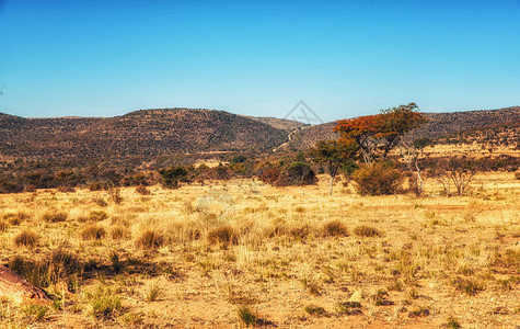 典型的南非自然风光图片