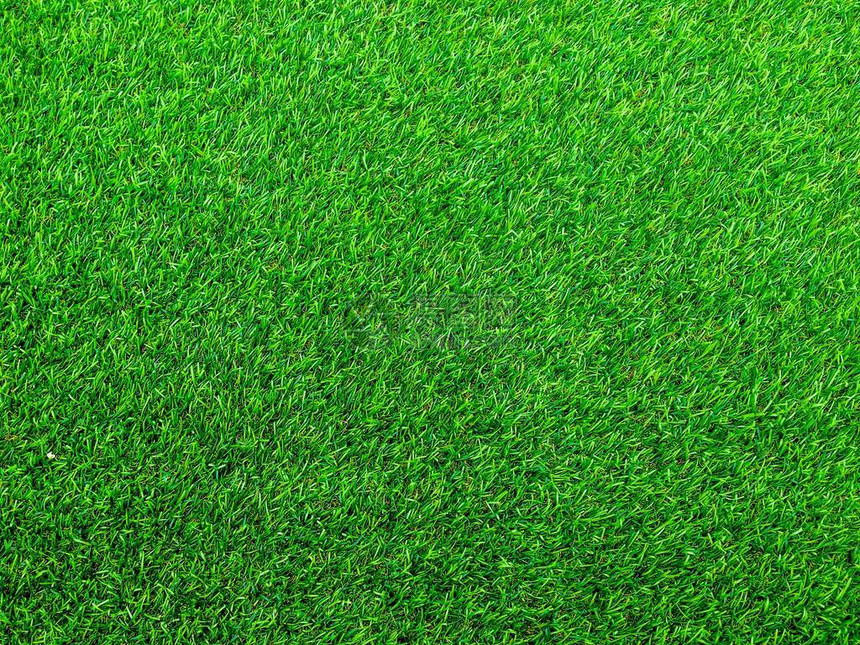 仔细观察绿色草场足球场背景工作图片