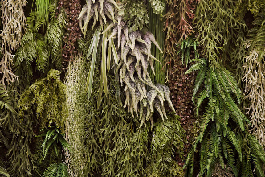 装饰墙由人工植物制成的绿图片