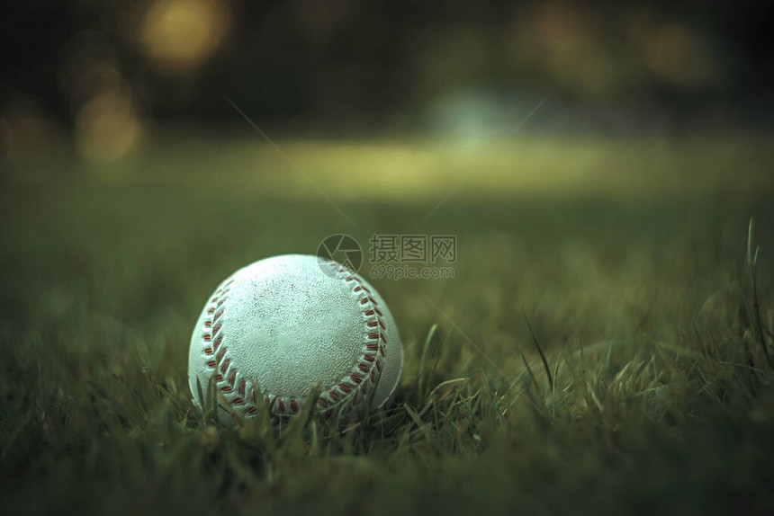 在绿草的棒球图片