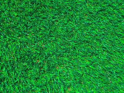 人工绿色草质原背景图片