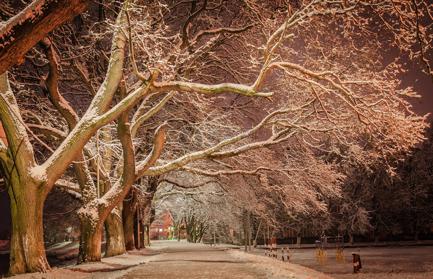 美丽的冬季景观街道图片