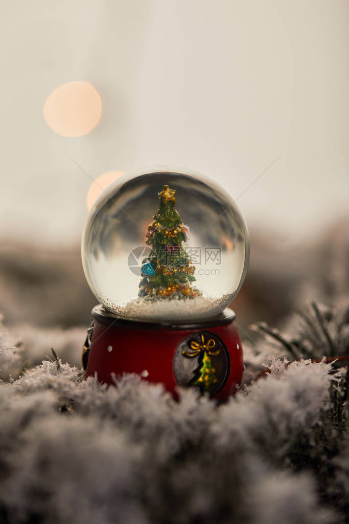 小雪球有圣诞树站在雪中的图片
