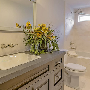 方形框架浴室内部可以看到内置浴缸马桶和梳妆台灰色的台面上放着一株开黄图片