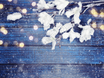 冬季圣诞节背景有卷叶圆锥和蓝色木图片