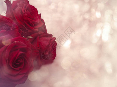 爱情人节的情人节有红玫瑰花图片