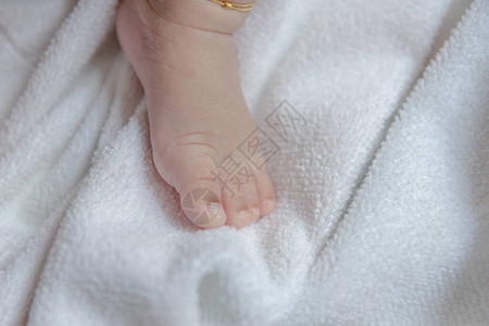 白色棉布上的新生儿脚图片