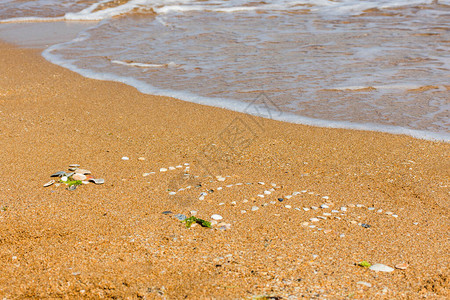 俄语字母中的海一词由贝壳制成美丽的沙滩和清澈的绿松石水暑假的概念图片