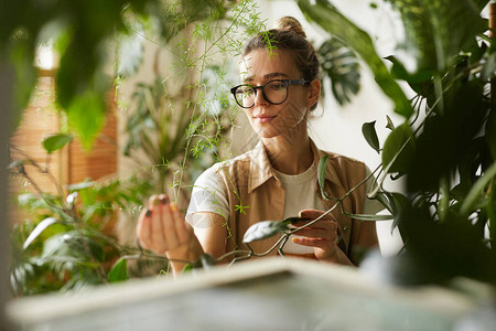 戴眼镜的年轻植物学家手里拿着装饰植物的图片