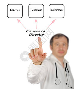 肥胖的三个原因遗传行为环境图片