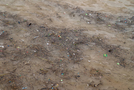 通过有机物塑料垃圾和其他漂浮在棕色水中的物图片