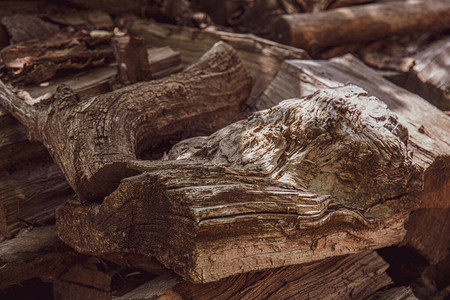 阳光下不均匀开裂木材的打结木材表面纤维结构的粗糙木质纹理带复制空间的图片