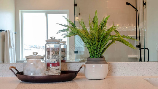 Panorama浴室梳妆台配有可反射淋浴间和推拉窗的壁镜室内植物和装有肥皂罐棉球和花蕾的托图片
