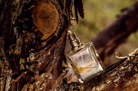 木质背景上的香水瓶图片