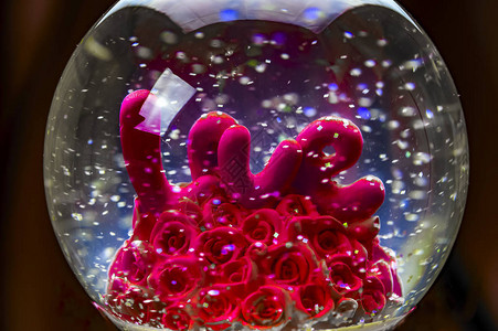 情人节静物水中的玫瑰与爱情图片