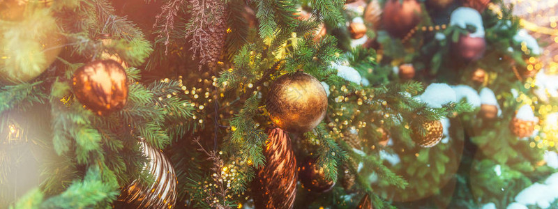 圣诞和新年概念假日背景和横幅大小图象真实的fir分支上惊人图片