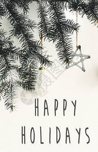 节日快乐文本标志在时尚的圣诞树枝上图片