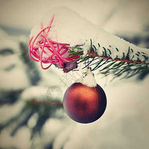 圣诞节圣诞树上美丽的圣诞装饰品寒假图片