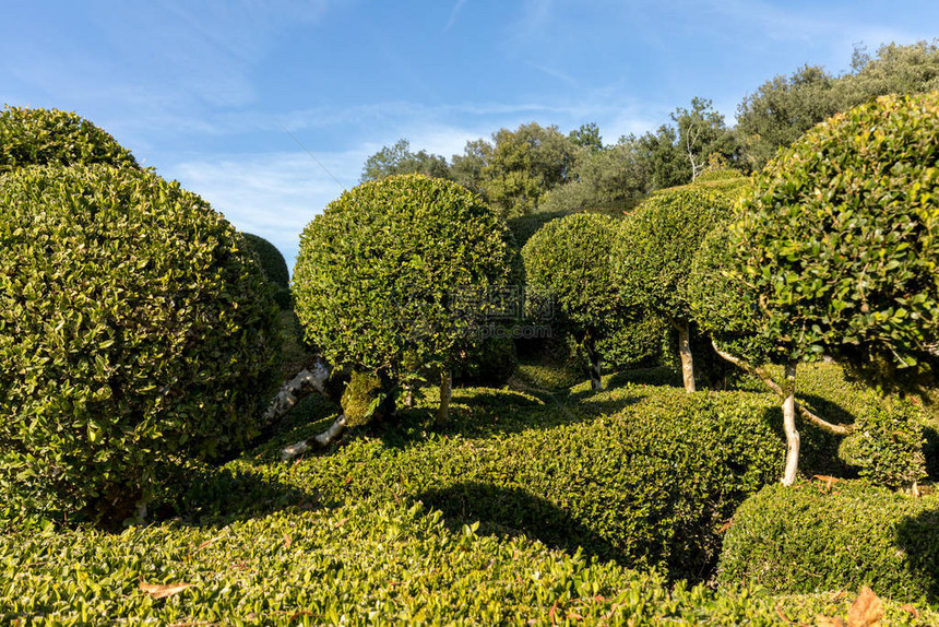 法国多纳地区JardinsdeMarqueyssa图片