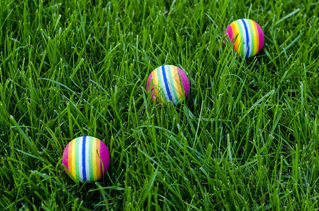 猫狗在绿草上的彩色小球工作室照片图片